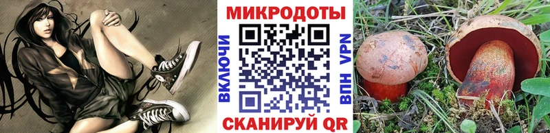Галлюциногенные грибы Cubensis  Староминская 